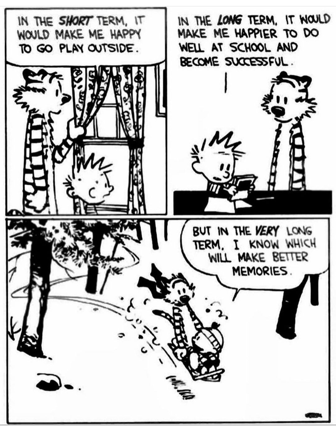 2022-01-18 Calvin and Hobbes Long Term.jpg